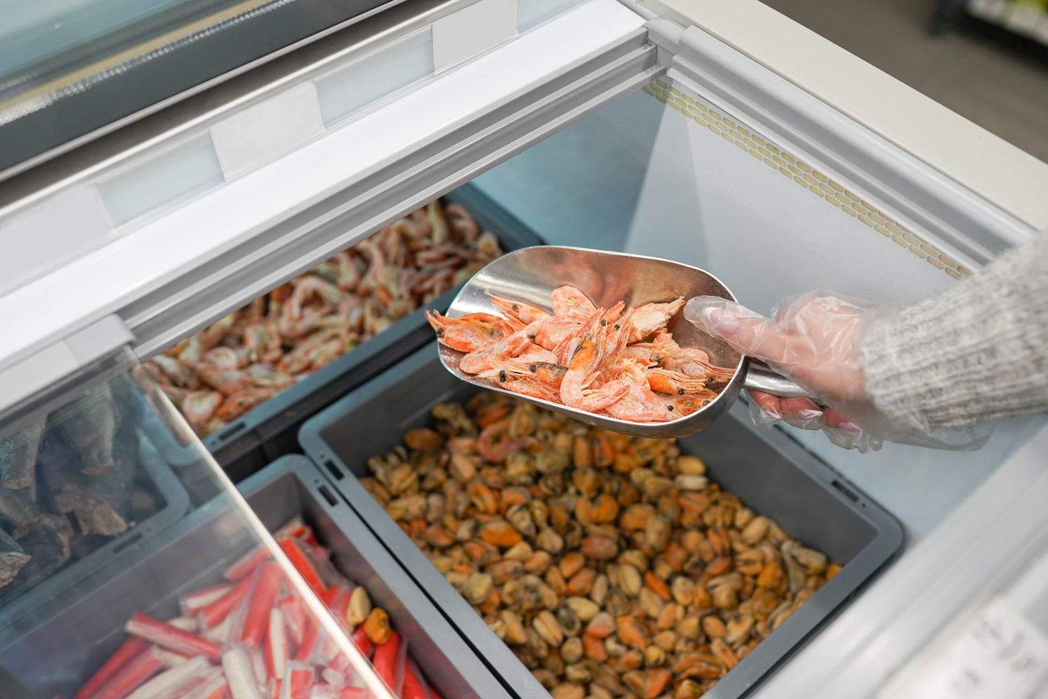 Chest Freezer